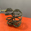 Vauxhall Vivaro/Renault Trafic REAR COIL SPRINGS (PAIR) 2016 P/N 550202870R