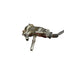 Ford Transit Custom Mk8 2.0 DPF CATALYTIC CONVERTER (2018-2023) P/N 1655170X;1655171X;1655172X