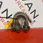 Ford Transit Mk8  SPRING U BOLTS 60mm (Set of 4) P/N 2175651