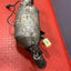 Citroen Berlingo/Peugeot Partner DIESEL PARTICULATE FILTER DPF 2016-2018 1.6L P/N 9823467180 - 6 / 1321717X