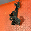 Renault Trafic ENGINE SUPPORT MOUNT BRACKET 2.0 2022 P/N 226760614R