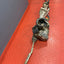 Citroen Berlingo/Peugeot Partner/Vauxhall Combo/Toyota Proace City COMPLETE POWER STEERING RACK 1.5 2019-2024 P/N 9824390580 / 6820000302
