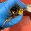 Citroen Berlingo/Peugeot Partner/Vauxhall Combo/Toyota Proace City COMPLETE POWER STEERING RACK 1.5 2019-2024 P/N 9824390580 / 6820000302