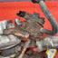 Citroen Berlingo/Peugeot Partner TURBOCHARGER with ACTUATOR (3 Pin) 1.6 2008-2016 P/N 9673283680 - 18
