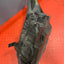 Ford Transit Custom HEADLIGHT DRIVER SIDE RH (BLACK INTERIOR) (DAMAGE MOUNTING POINT) 2015 P/N BK2113W029B