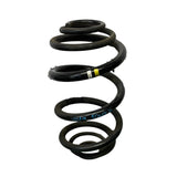 2019 Renault Trafic rear spring